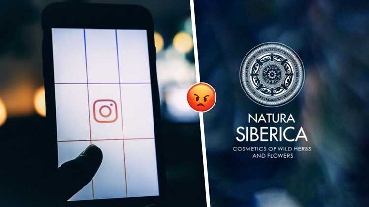 Успехи и проблемы аккаунта Natura Siberica в Instagram